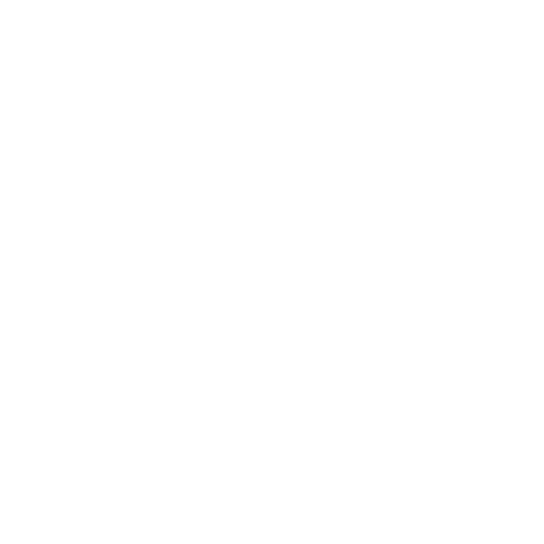 The Studio